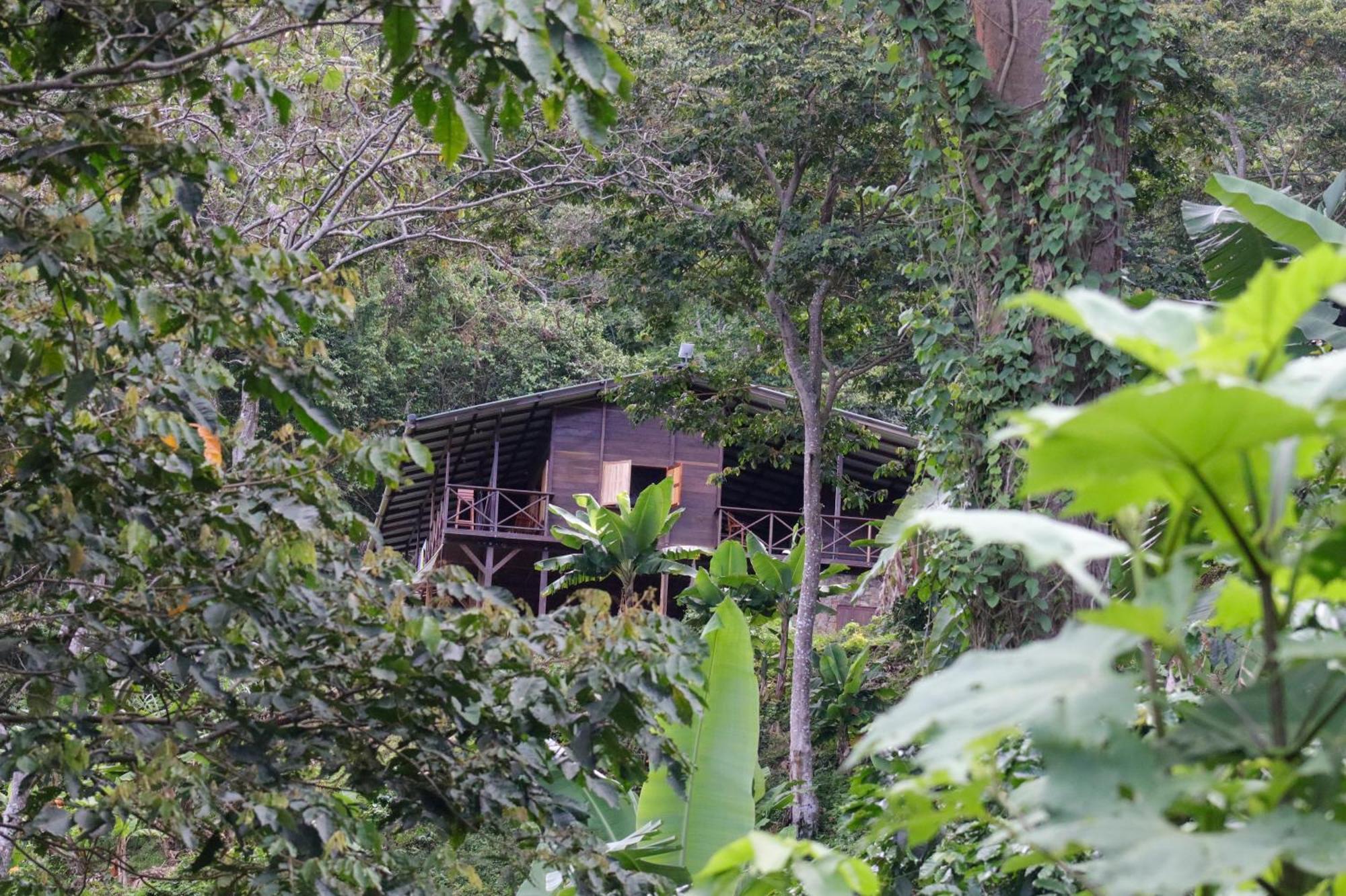 Mano Verde Minca Exterior photo